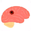 Image Here
