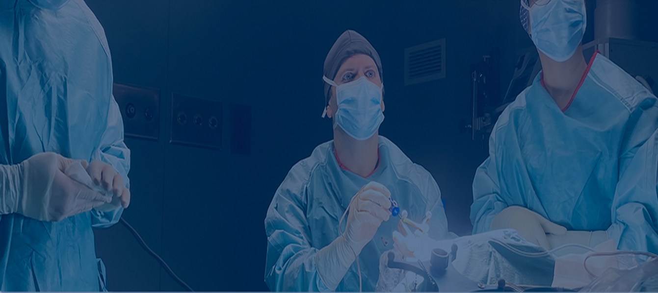 Image Banner Mobile Here